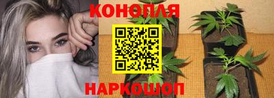 ALPHA PVP Аргун